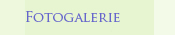 Fotogalerie
